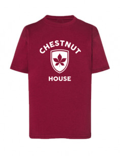 Camiseta uniforme CHICAGO